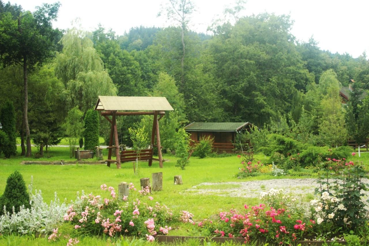 Комплексы для отдыха с коттеджами/бунгало Vidra Park Sicasău-15